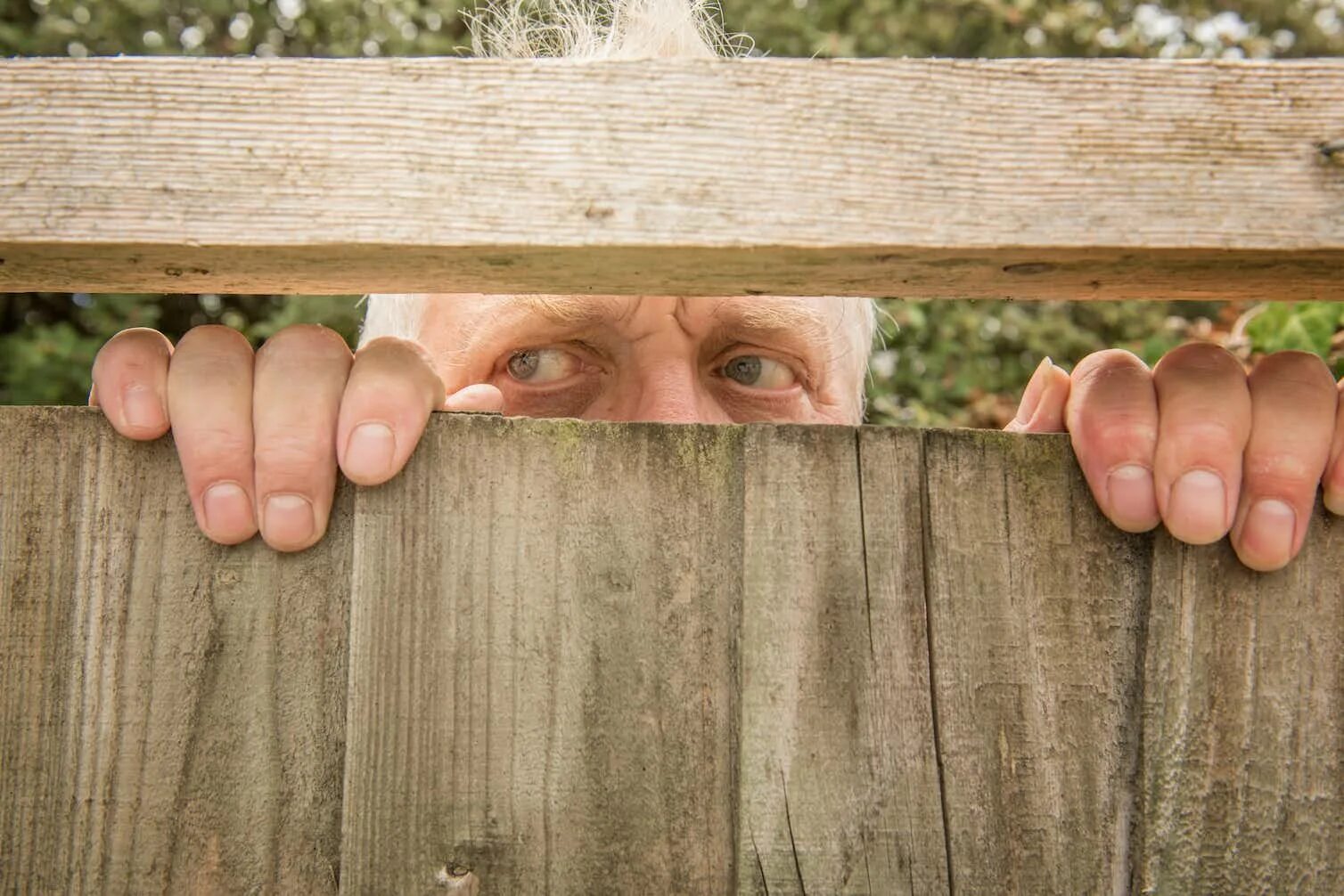 Слежка фото. Соседи в окне. The spying neighbour. Neighbor on the balcony. The spying neighbour.