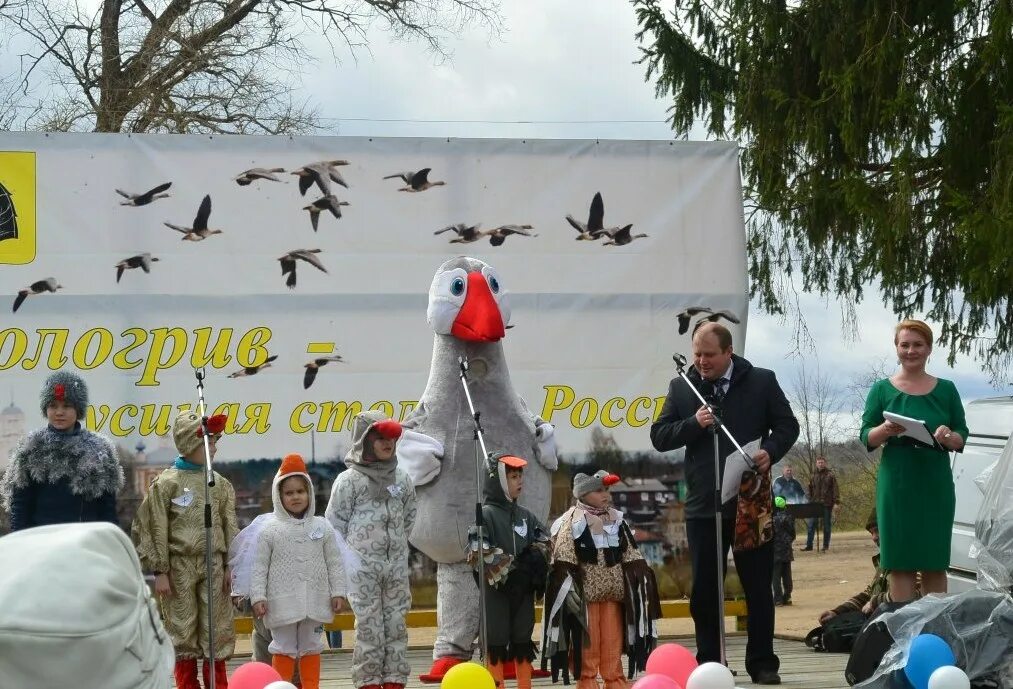 Гуси в кологриве. Гуси в кологриве
