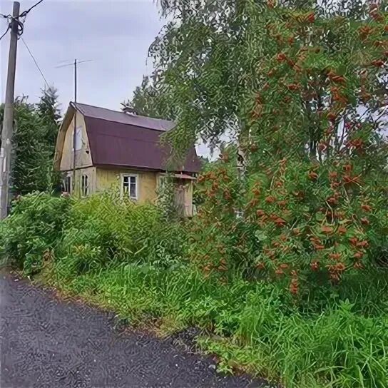 Снт мечта 2. Дмитров снт сверху. Участок 11 соток. Садоводство первомайское. Садоводство первомайское.