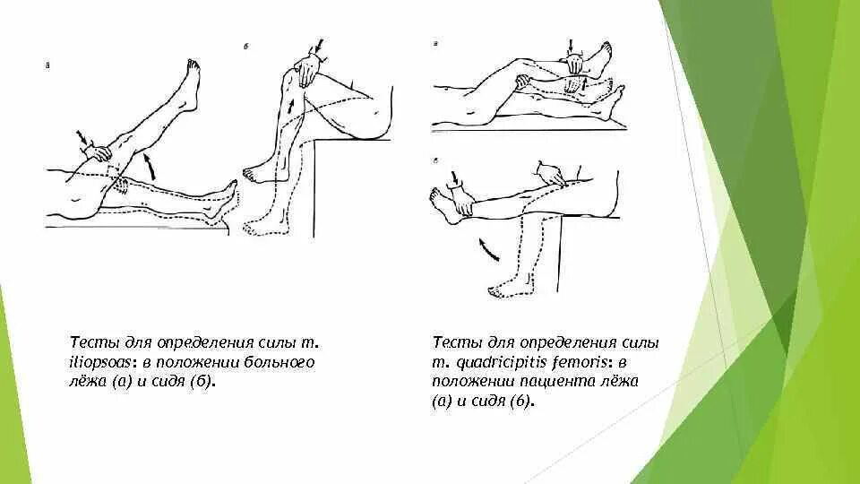 Как определить мышечную силу