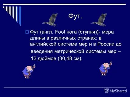 Проект ученика 5 класса