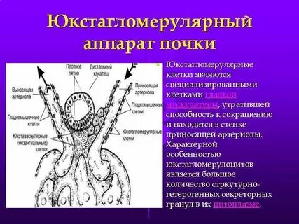 Плотное пятно