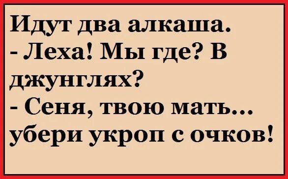 Леха алкаш. Леха алкаш. Пошли гулять жириновский. Лёшка алкаш. Челодой моловек.