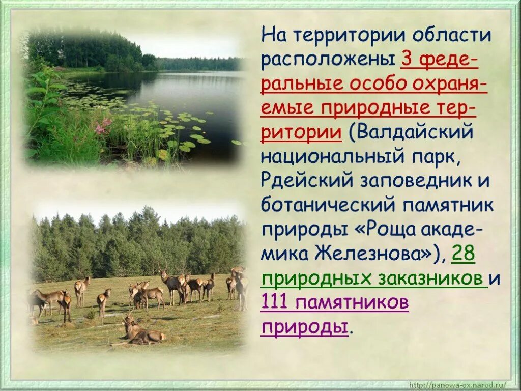 Доклад новгородская область. Валдайский национальный парк. Валдайский национальный парк доклад. Заповедник Валдайский национальный парк и заповедник. Заповедники Новгородской области.