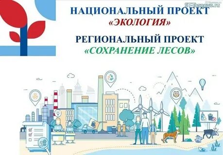 Региональные проекты 2018