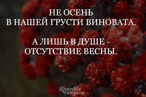 Не осень в нашей грусти виновата