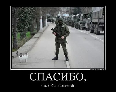 Я больше не буду 18