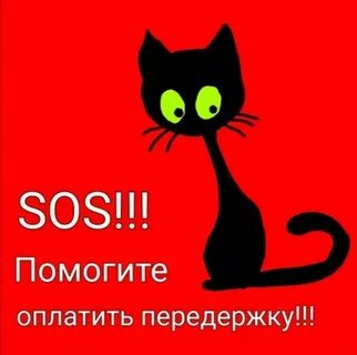 Помоги котику
