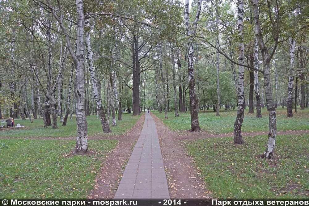 Парк ветеран в серебряном бору. Парк серебряный бор москва. Парк ветеранов москва. Парк ветеранов имени киквидзе. Парк ветеранов москва.