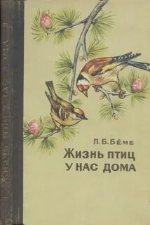 Жизнь пернатых начала замирать