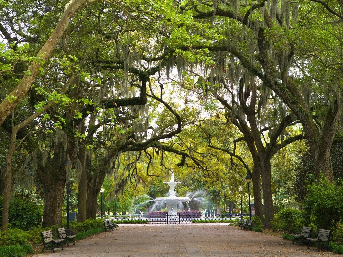 Саванна штат джорджия деревья. Саванна южная каролина. Калифорния штаты джорджия. Саванна южная каролина. Саванна америка.