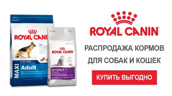 Корм для кошек премиум класса роял канин. Магазин роял канин. Магазин роял канин. Роял канин паучи для кошек вся линейка. Магазин роял канин.