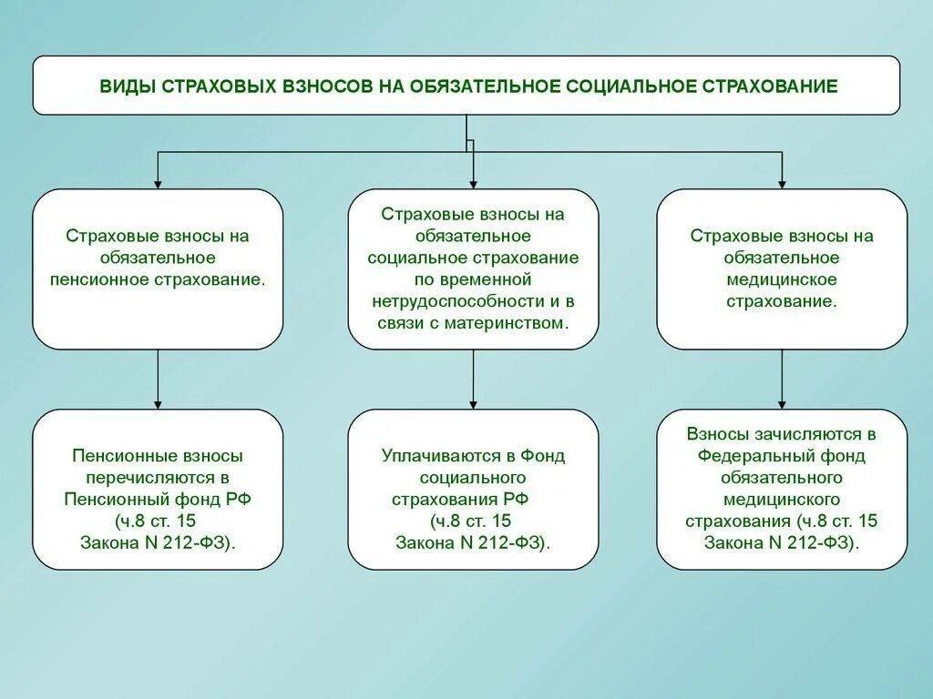 Признание взносов. Страховые взносы в фонд социального страхования РФ. Формы обязательного социального страхования в России. Система социального страхования в РФ. Виды обязательного соц страхования в РФ.