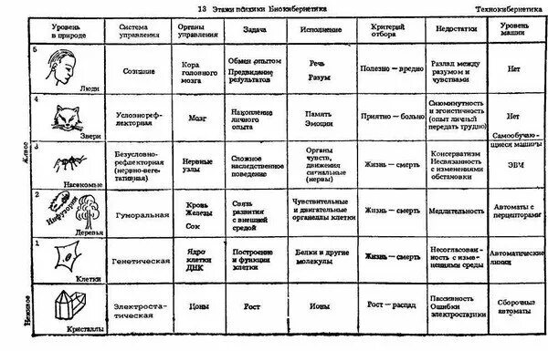 Этапы развития человека таблица. Основные стадии эволюции человека таблица. Основные стадии антропогенеза таблица. Основные этапы эволюции человека таблица. Таблица этапы эволюция человека 9 класс биология