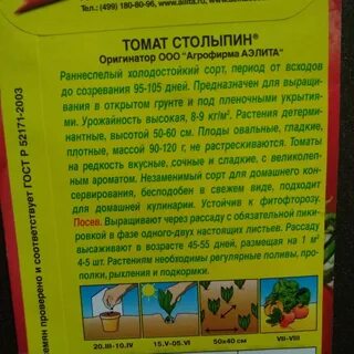 Томат столыпин отзывы
