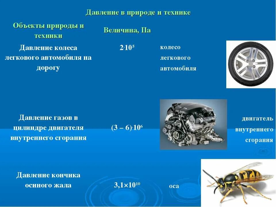 Давление в природе 7 класс. Давление в природе примеры. Давление в природе и технике. Давление в технике примеры. Роль давления в природе.