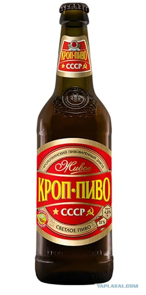 Кропоткин пиво