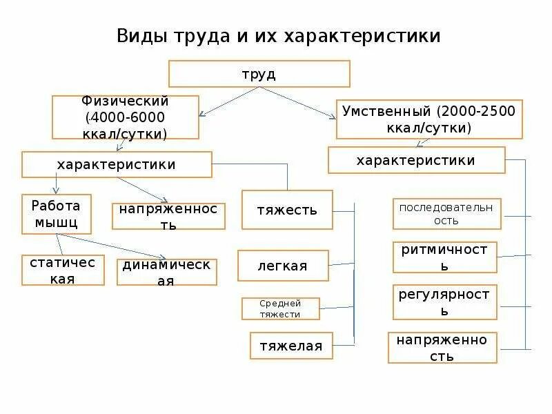 Деятельность человека делится на. Виды (по содержанию) трудовой деятельности. Виды труда. Руда виды. Виды труда таблица.