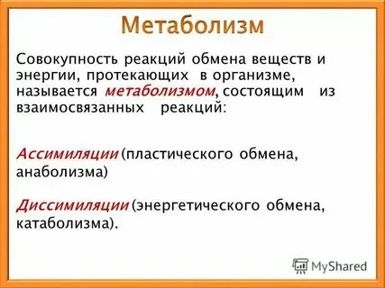 Совокупность реакций обеспечивающих организм веществами и энергией