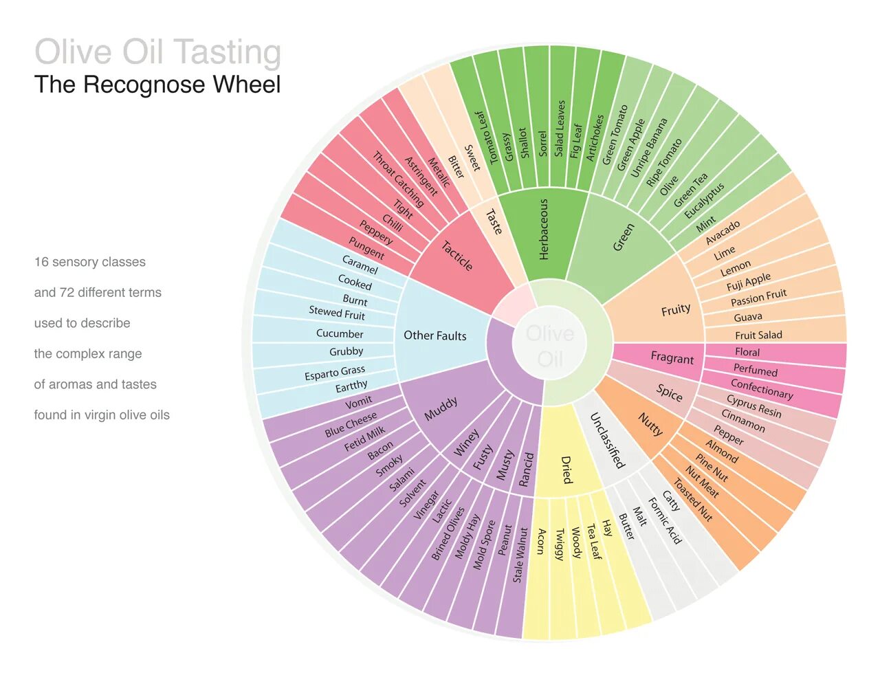 Chocolate Sensory Wheel. Tastes или is tasting. Whisky Aroma Wheel. Оливковое масло premiere of taste