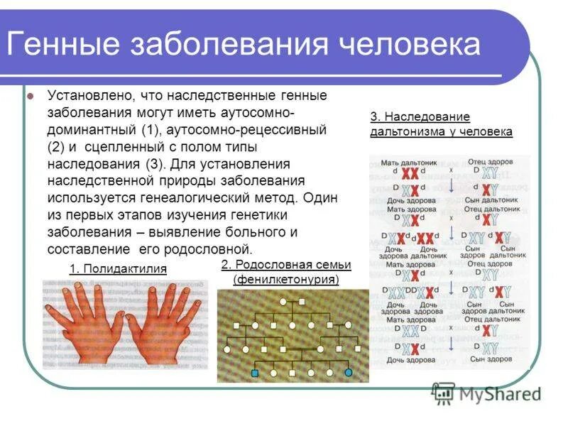 Какие заболевания наследуются. Генетические заболевания человека таблица с типами. Генные наследственные болезни. Заболевания вызванные генными мутациями. Наследственные заболевания названия.