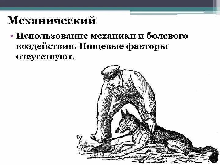 Механическая дрессировка. Механическая дрессировка. Дрессировка собаки схема. Механический метод дрессировки собак. Дрессировка собак.