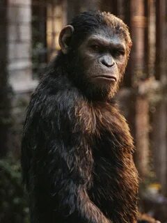 Ape planet watch
