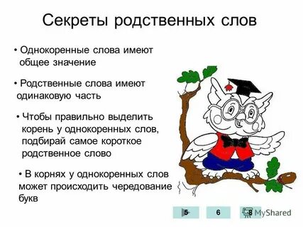 Что такое родственные слова конспект урока