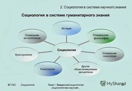 Социальная работа дисциплины