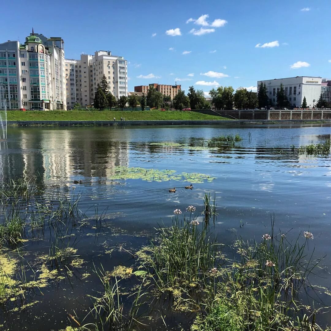 Реки города орла. Река в Орле. Озёра города орла. Речка г Орел. Орел реки области