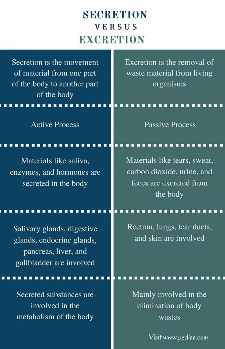 Difference between. Difference between primary storage and secondary storage. difference between may and might. sodium what.