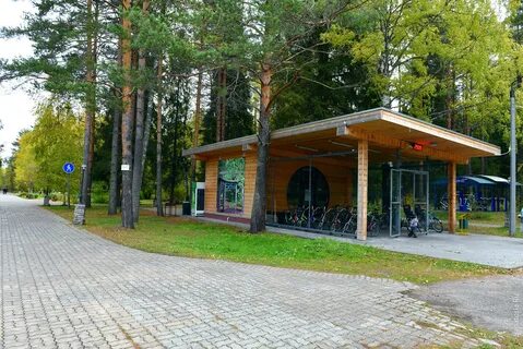 Киров лесной