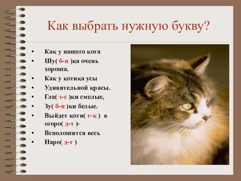 Как у нашего кота. Пушистый кот предложение. презентация на тему как у нашего кота. а у котика усы удивительной красы. как у нашего кота слова.