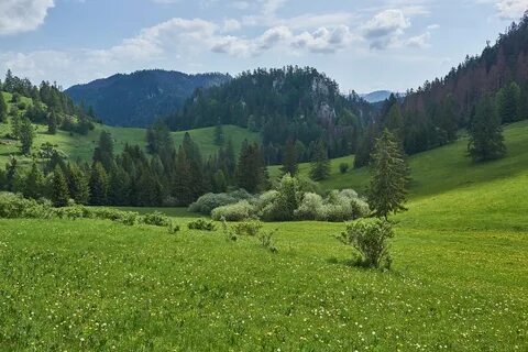Природа восточной европы
