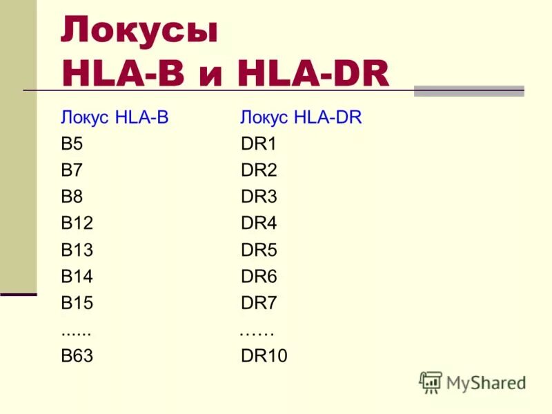 Локусы hla. Локусы hla. Главный комплекс гистосовместимости hla это. Локусы hla. Гены 1 класса системы hla.