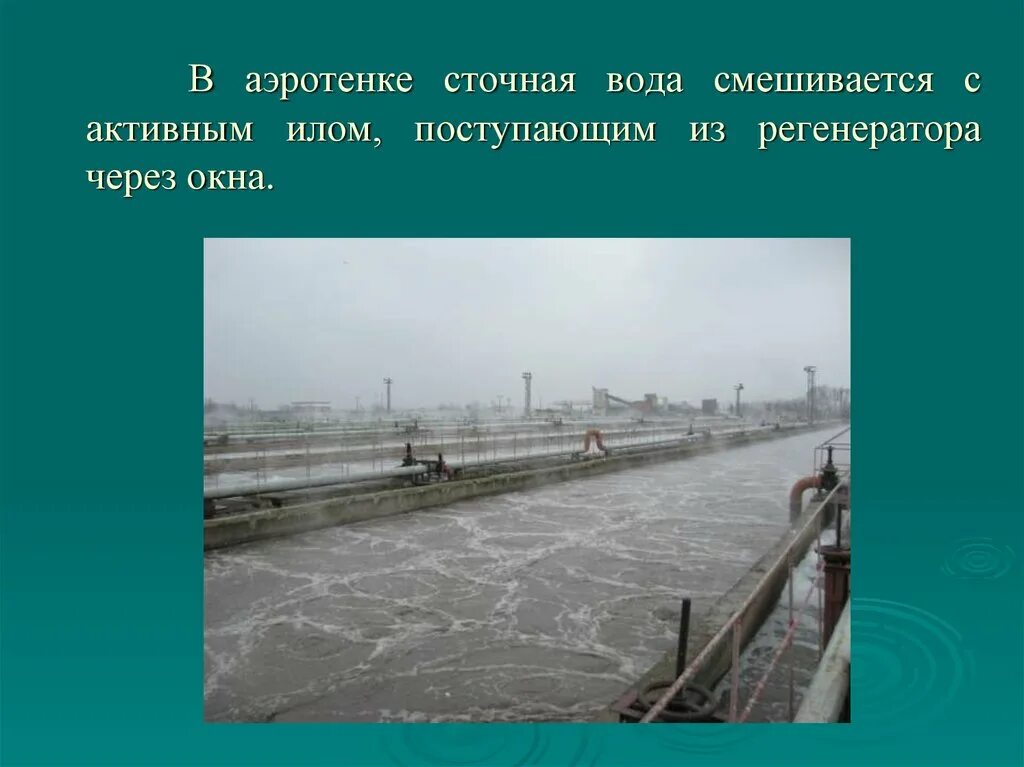 Активный ил в аэротенках. Активный ил для очистки сточных вод. Вспухание активного ила. Активный ил фото. Очистка вод илом