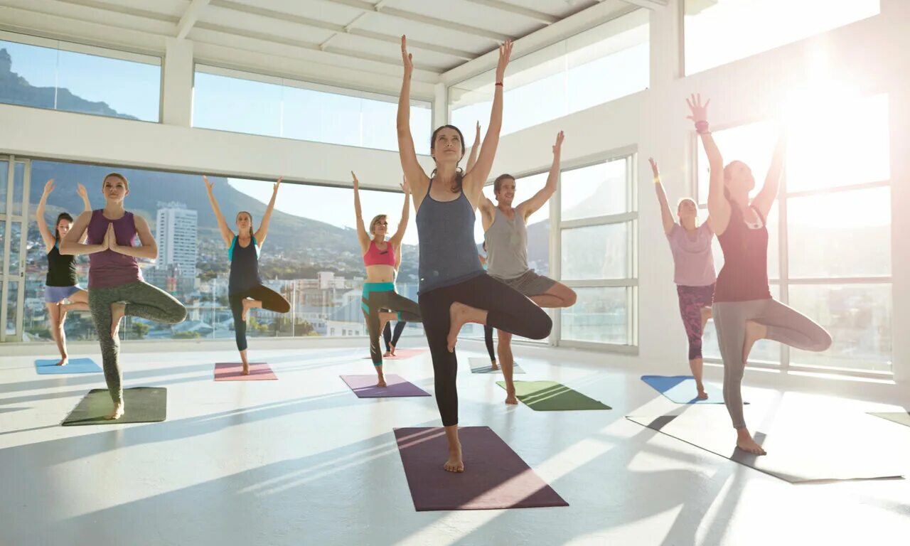 белый лотос вологда. белый лотос вологда. салон белый лотос вологда. белый лотос энгельс. лотос спа вологда.