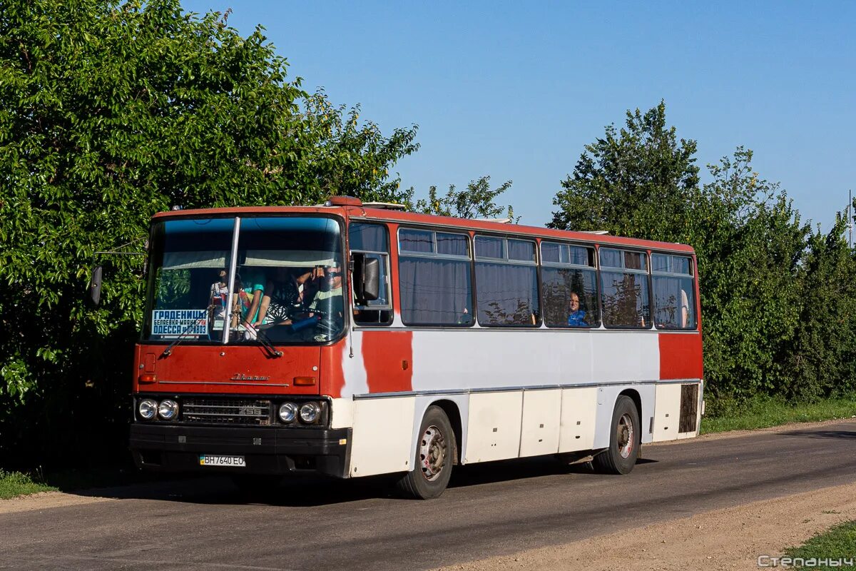 Экскурсионные автобусы нижний. Икарус 250 зеленый. Икарус 256.58. Икарус 256.42. Икарус 256.53.