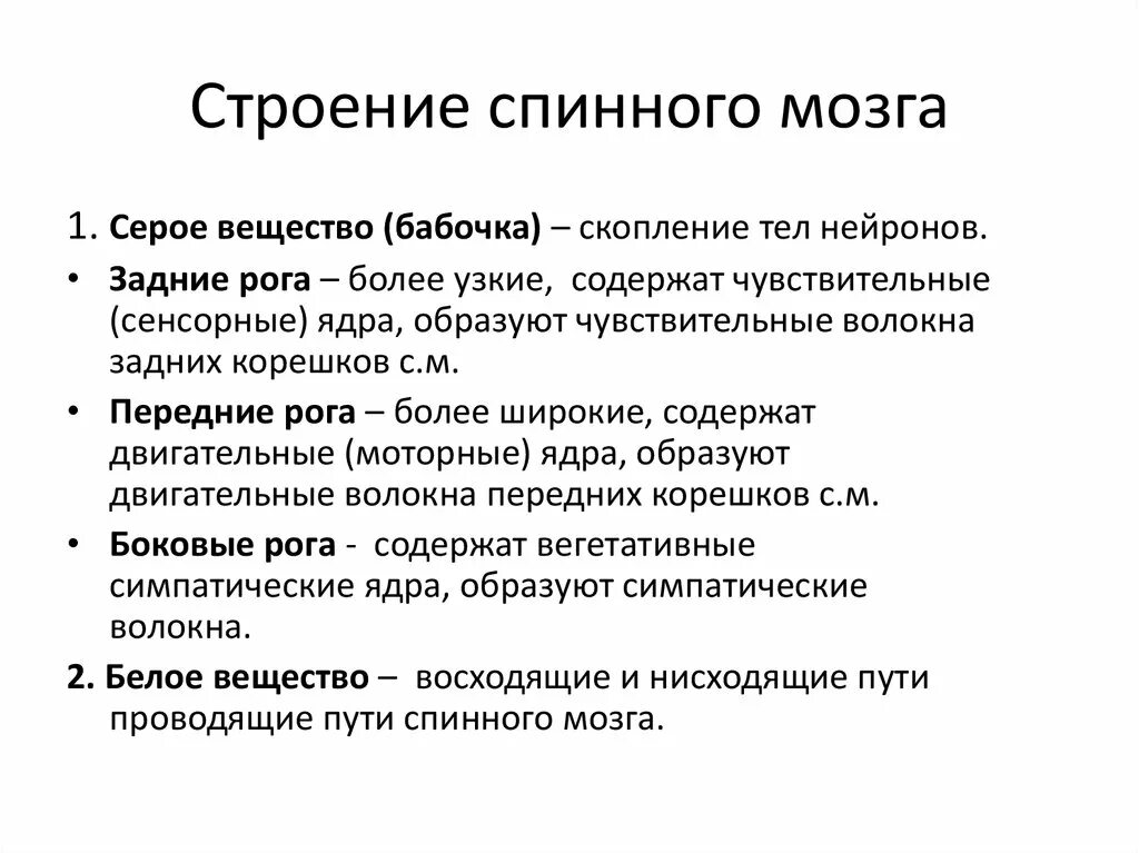 Картинки СТРОЕНИЕ СПИННОГО МОЗГА КРАТКО