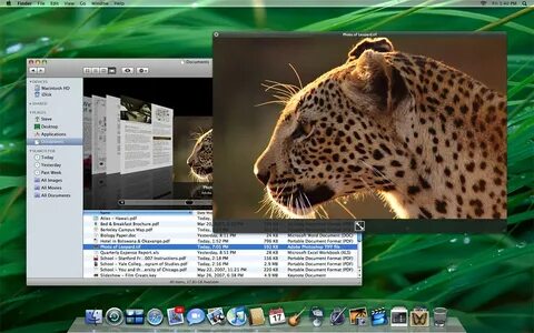 Leopard x