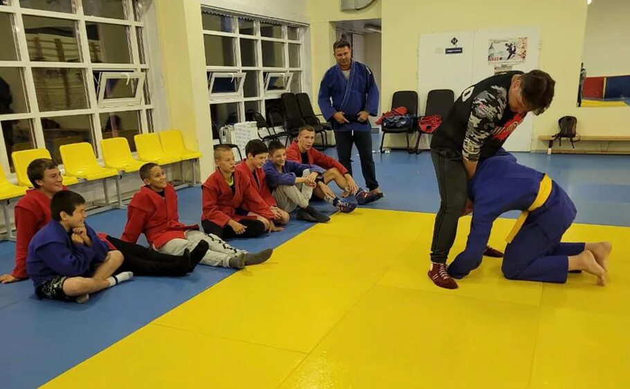 Спортивное самбо. Школа самбо медведь. Мишка самбист. Школа самбо курган. Добрунь школа самбо.