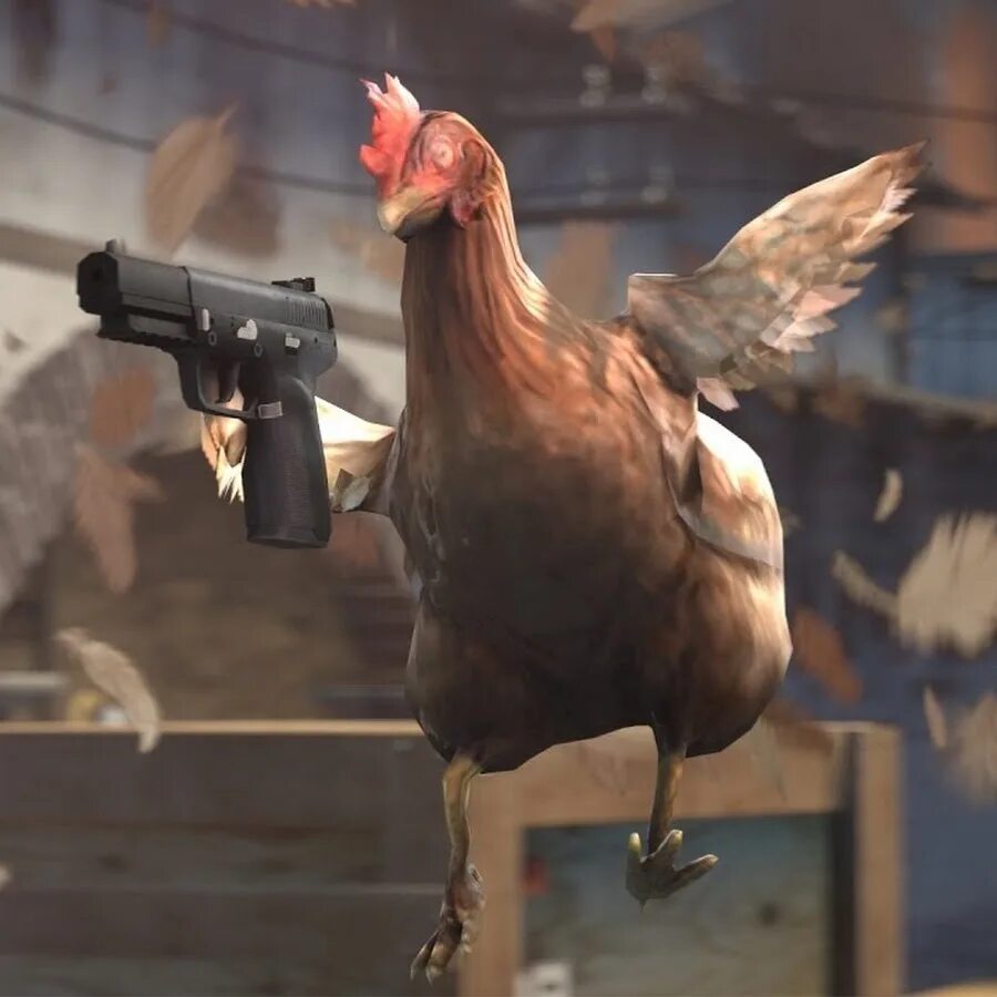 Chicken 3.8 01. Rehbhwf RC 1/6. Counter-Strike: Global Offensive курица. Петушок Чикен Ган. Курица с автоматом.