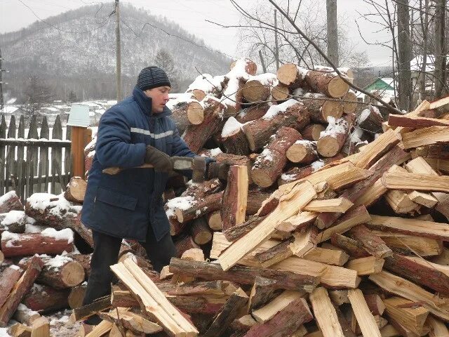 Рубка дров. Заготовка дров. Рубить дрова. Колет дрова. Они колят дрова