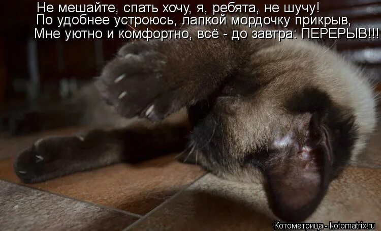 Мешали спать. Не мешай спать. Не мешай спать картинки. Мешали спать. Соседи мем.