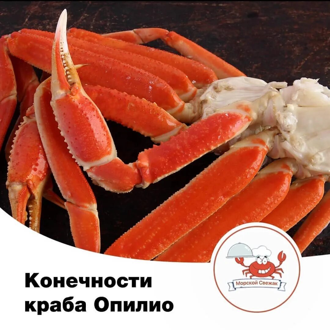 Краб опилио что это. Краб опилио. снежный краб опилио. - роза краба стригуна (опилио). вкус краба опилио.