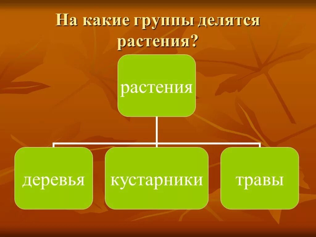 Делятся на три группы 1. На какие группы делятся растения. Растения делятся на 3 группы. Группы на которые делятся растения. На какие 4 группы делятся растения.