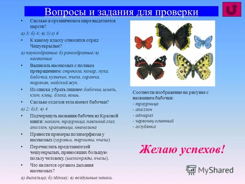 отряд чешуекрылые бабочки. отряд бабочки представители. строение бабочки. к какому классу относится бабочка. отряд чешуекрылые или бабочки общая характеристика.