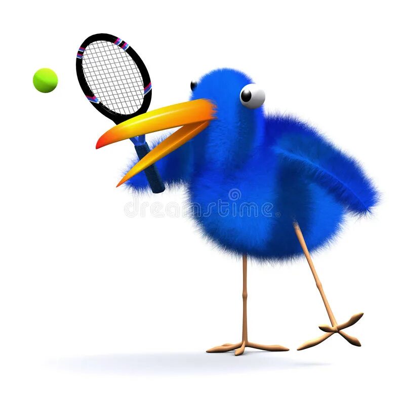Теннис bird. Angry birds текст. Angry birds теннис. Angry birds китайский новый год. Angry birds tennis.