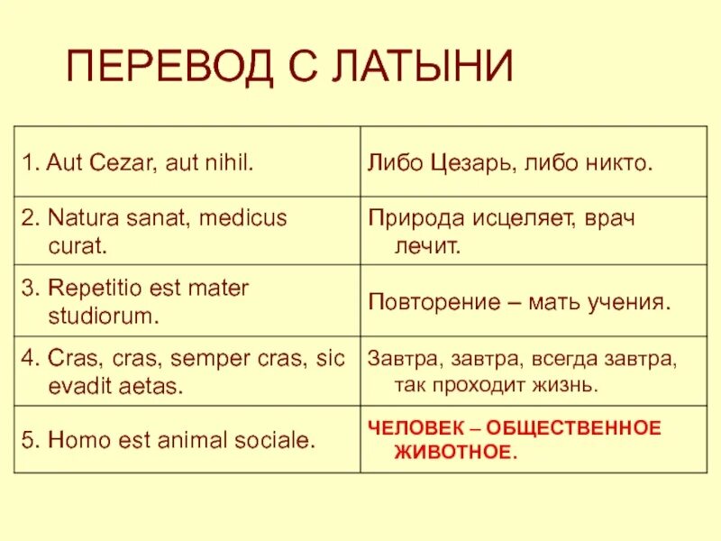 Per first. Перевод. Переводре. Перевод на латынь. Пословицы на латыни.