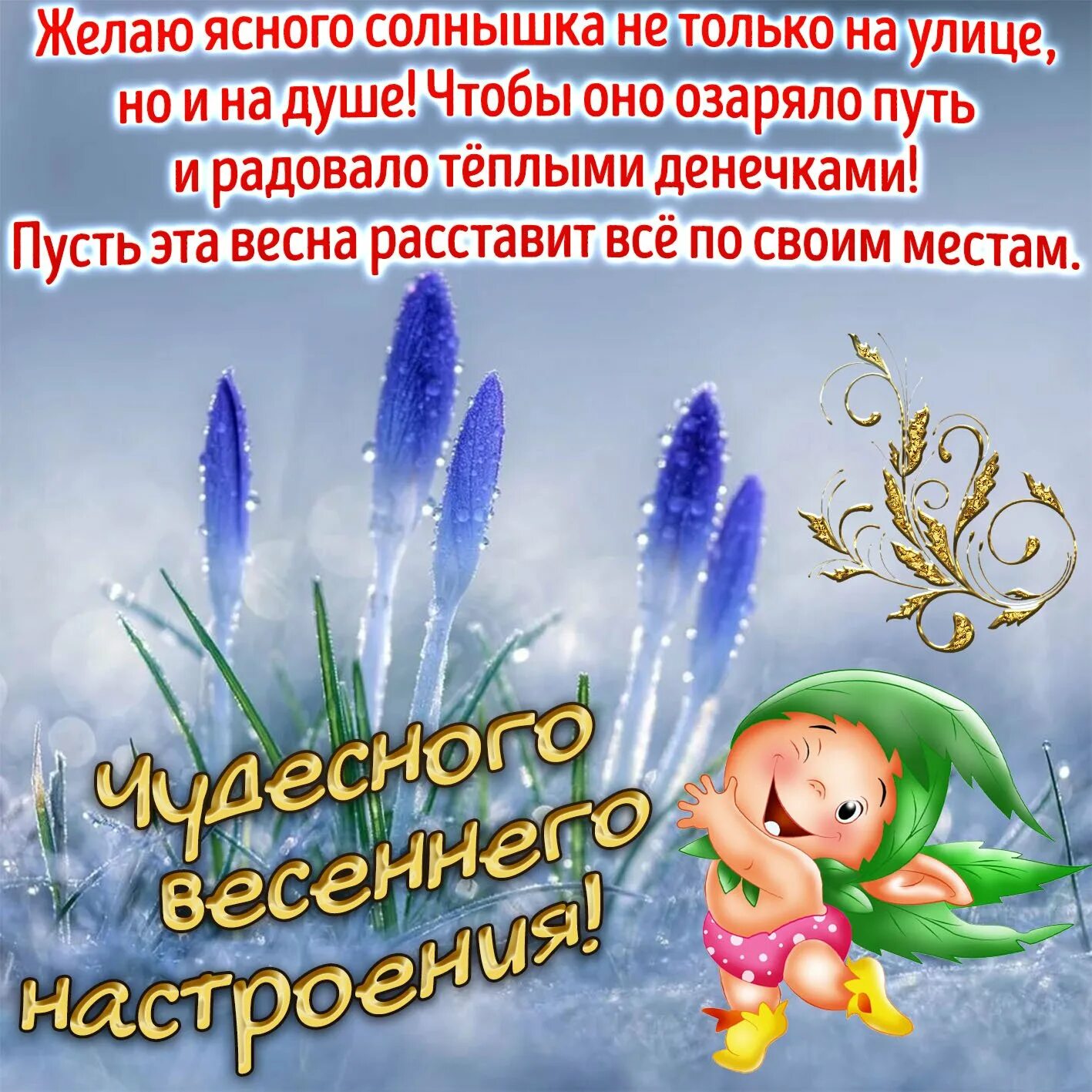 Пожелание доброго весеннего дня и хорошего настроения. Открытки весеннего настроения. весенние пожелания. поздравление весеннего настроения. открытки весенние с пожеланиями.